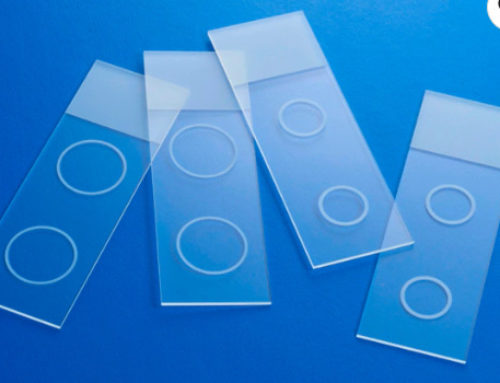 How to Compare Multiple Samples Efficiently Using Double Circled Microscope Slides
